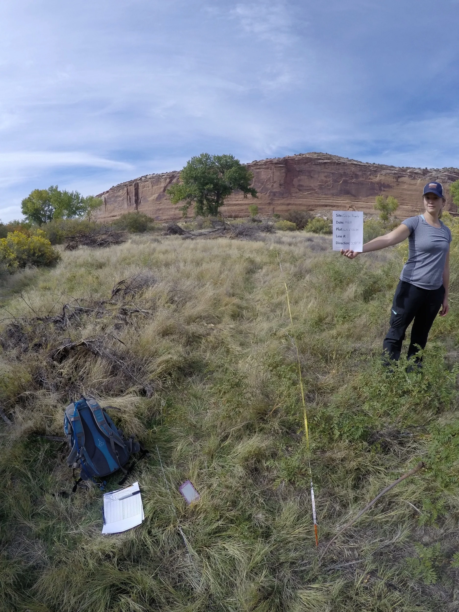 Killian Rush measuring vegetation cover at the Catalpa Property. Photo: CCA.