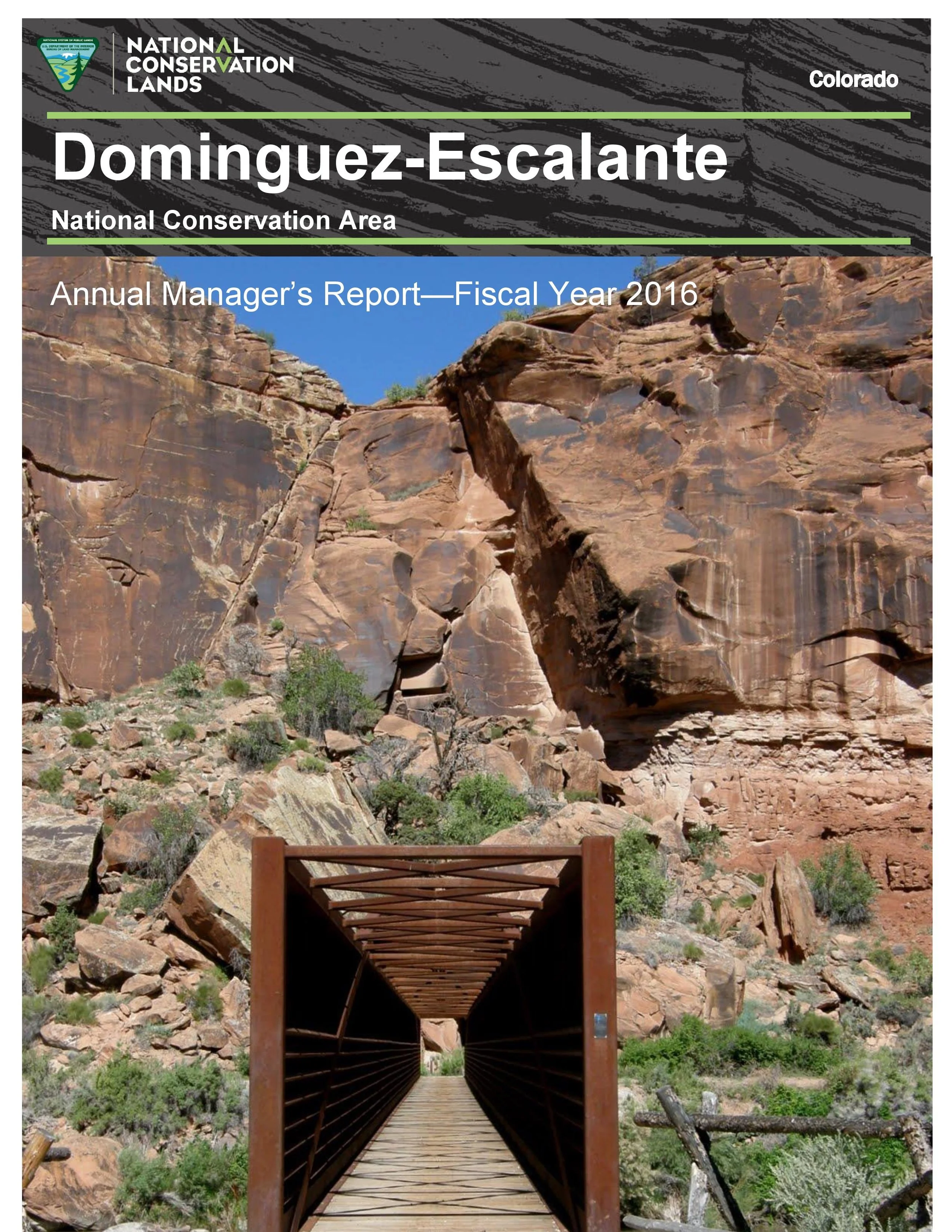 2016 FINAL DENCA REPORT_2017_01_09-page-001.jpg
