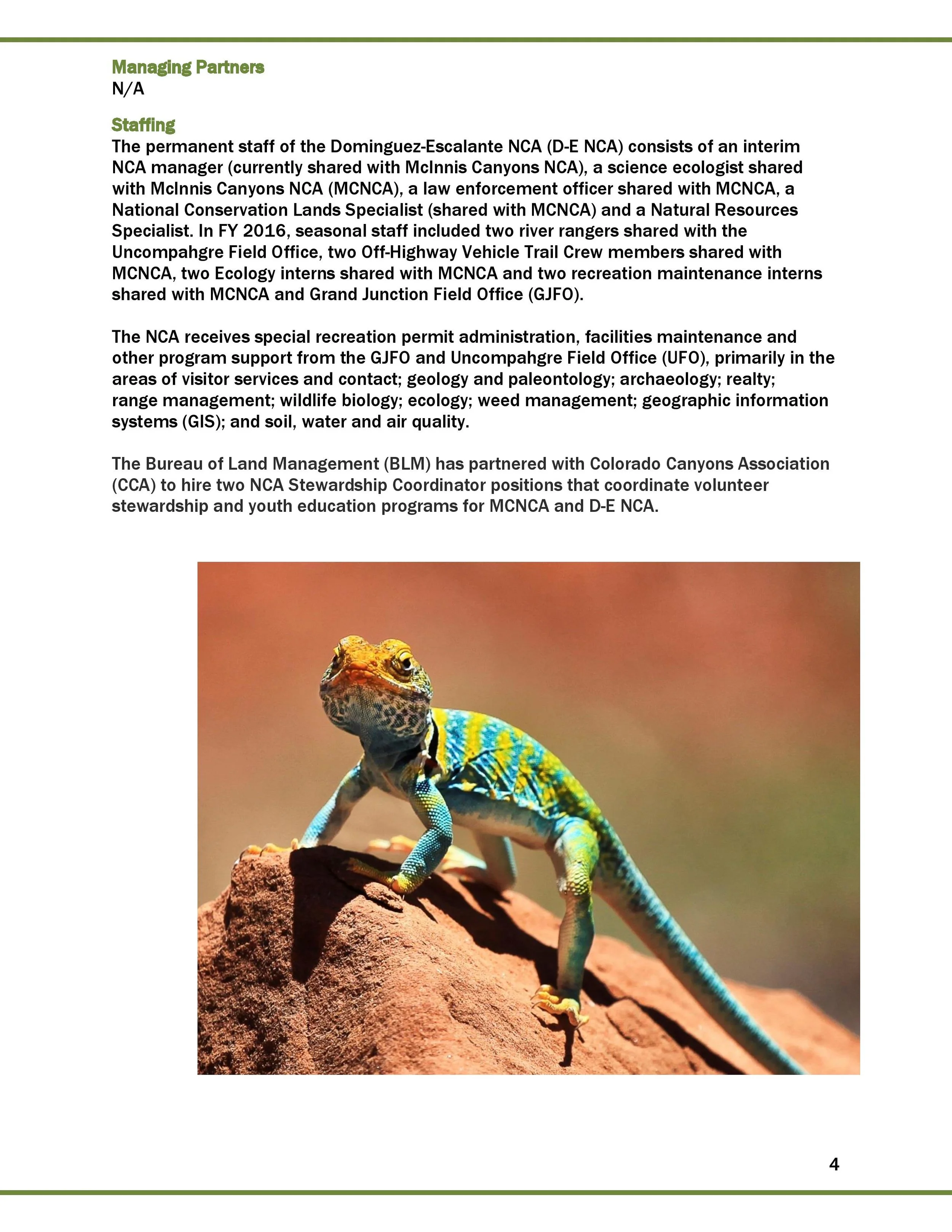 2016 FINAL DENCA REPORT_2017_01_09-page-005.jpg