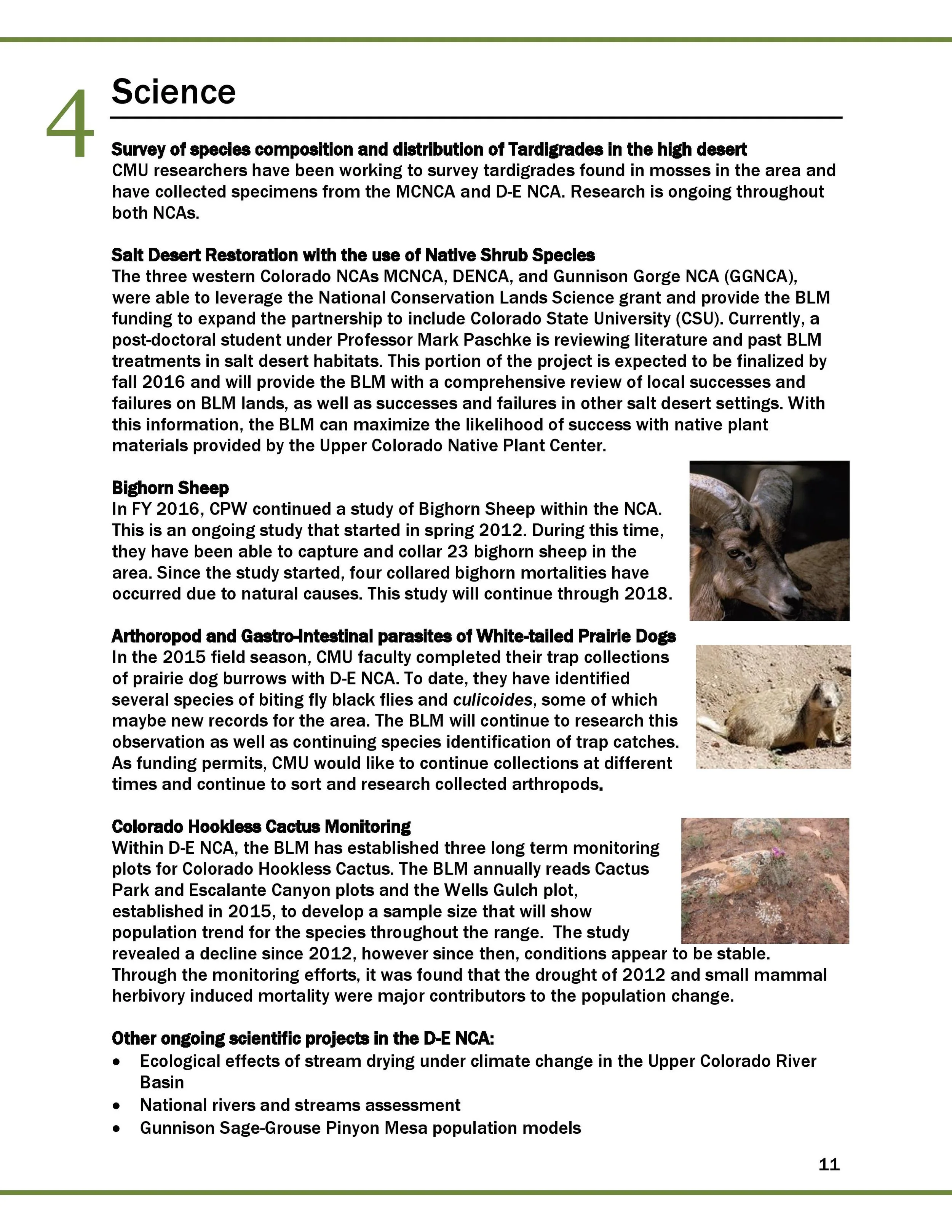 2016 FINAL DENCA REPORT_2017_01_09-page-012.jpg