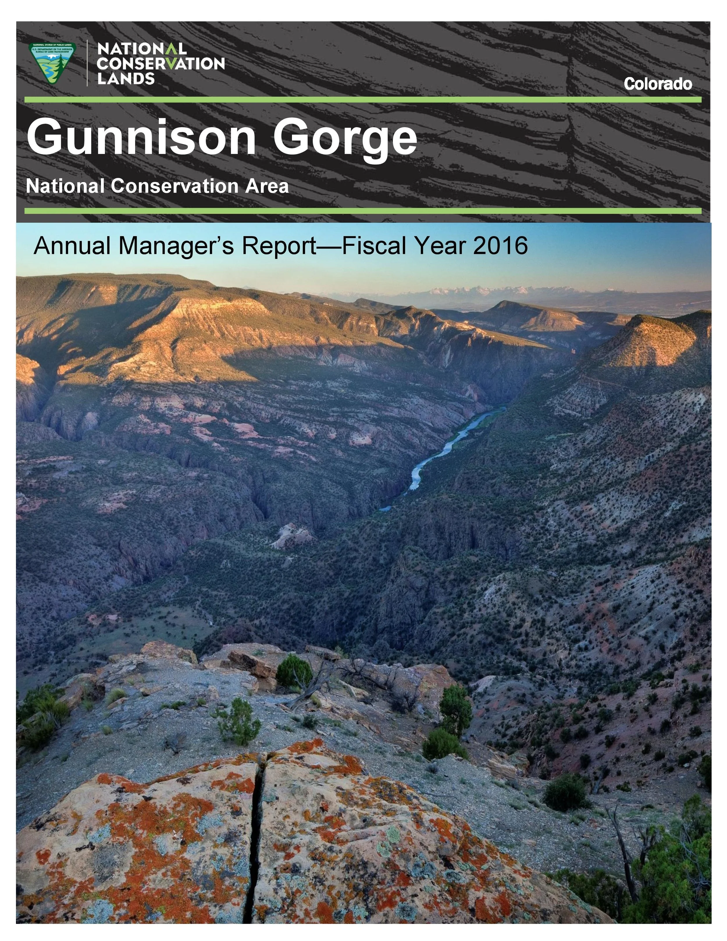 2016 FINAL GGNCA REPORT_2017_02_01-page-001.jpg
