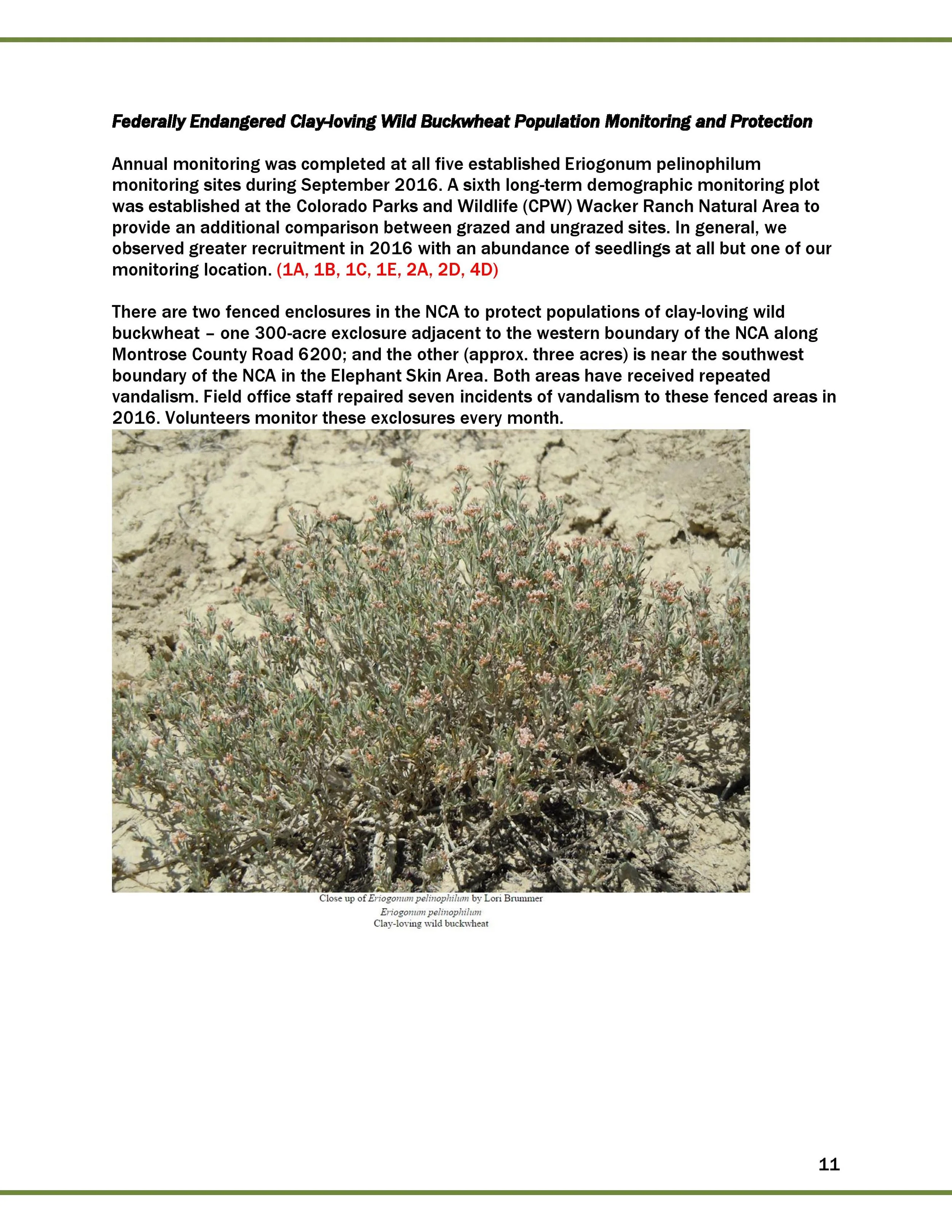 2016 FINAL GGNCA REPORT_2017_02_01-page-012.jpg