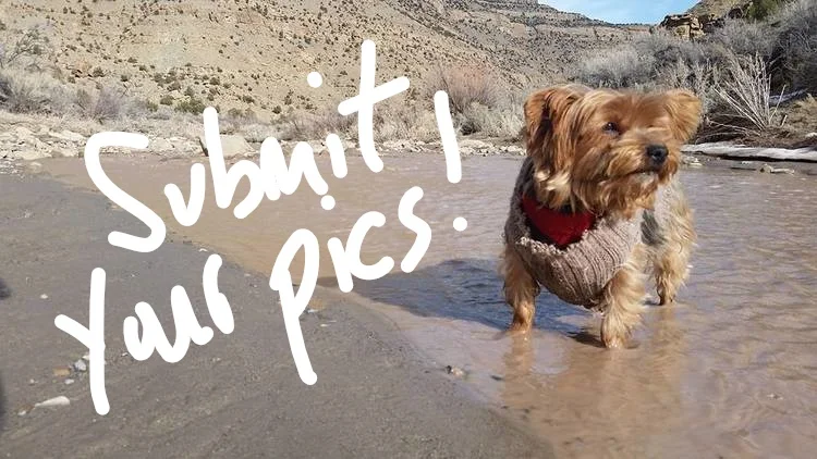 Email your photos to info@canyonsassociation.org