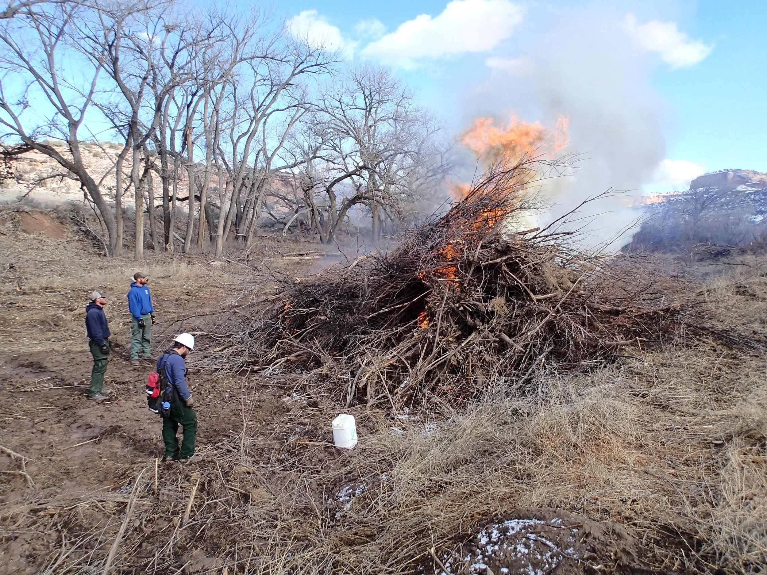 Burn Piles (1) (1).JPG