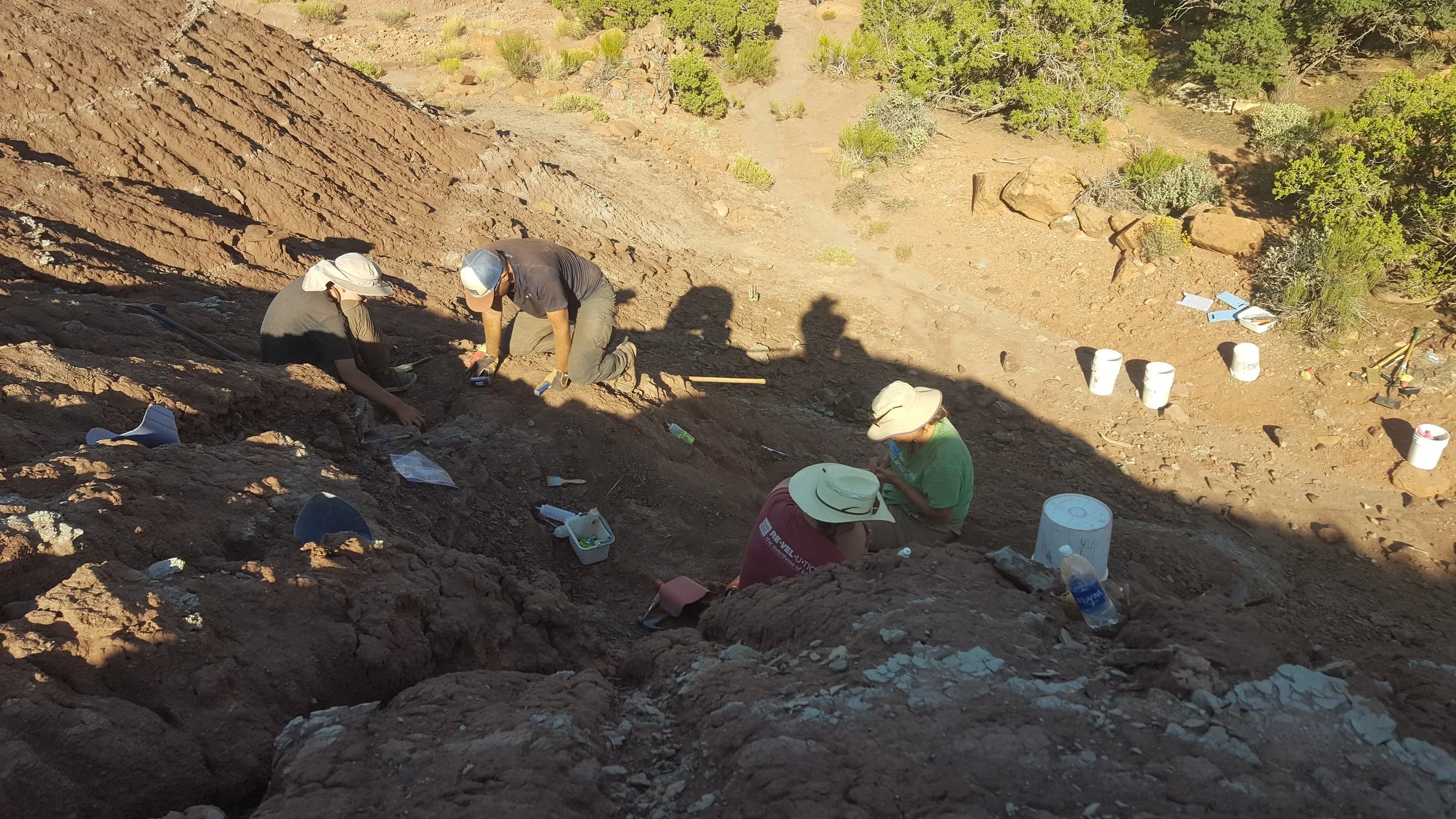 Paleontologists work on an excavation in National Conservation Lands.