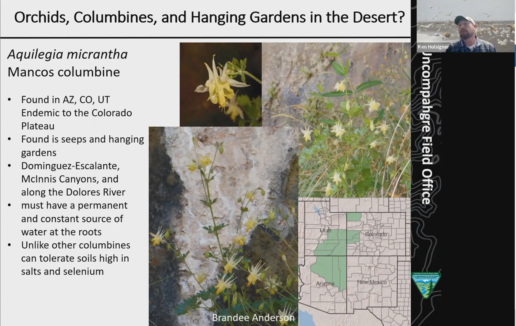 Watch our Lecture Series Online!