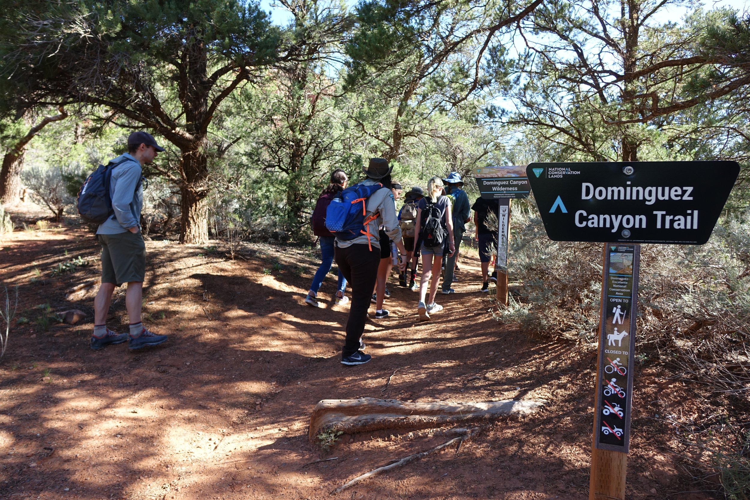 The land portion of the field trip took place at the Upper Dominguez Campground in Dominguez-Escalante NCA - a perfect spot to escape the summer heat of the desert! 