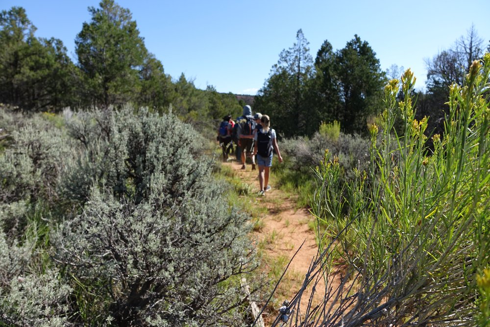  Walking through sagebrush and wildflowers, students had the chance to enjoy being outside. 