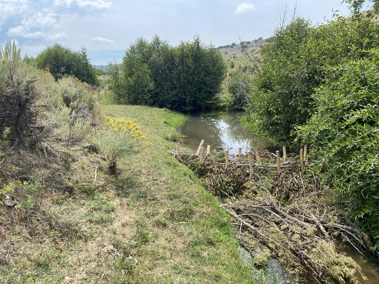 Lecture Series: Restoring Western Waterways - Low-tech methods for high-impact uplift
