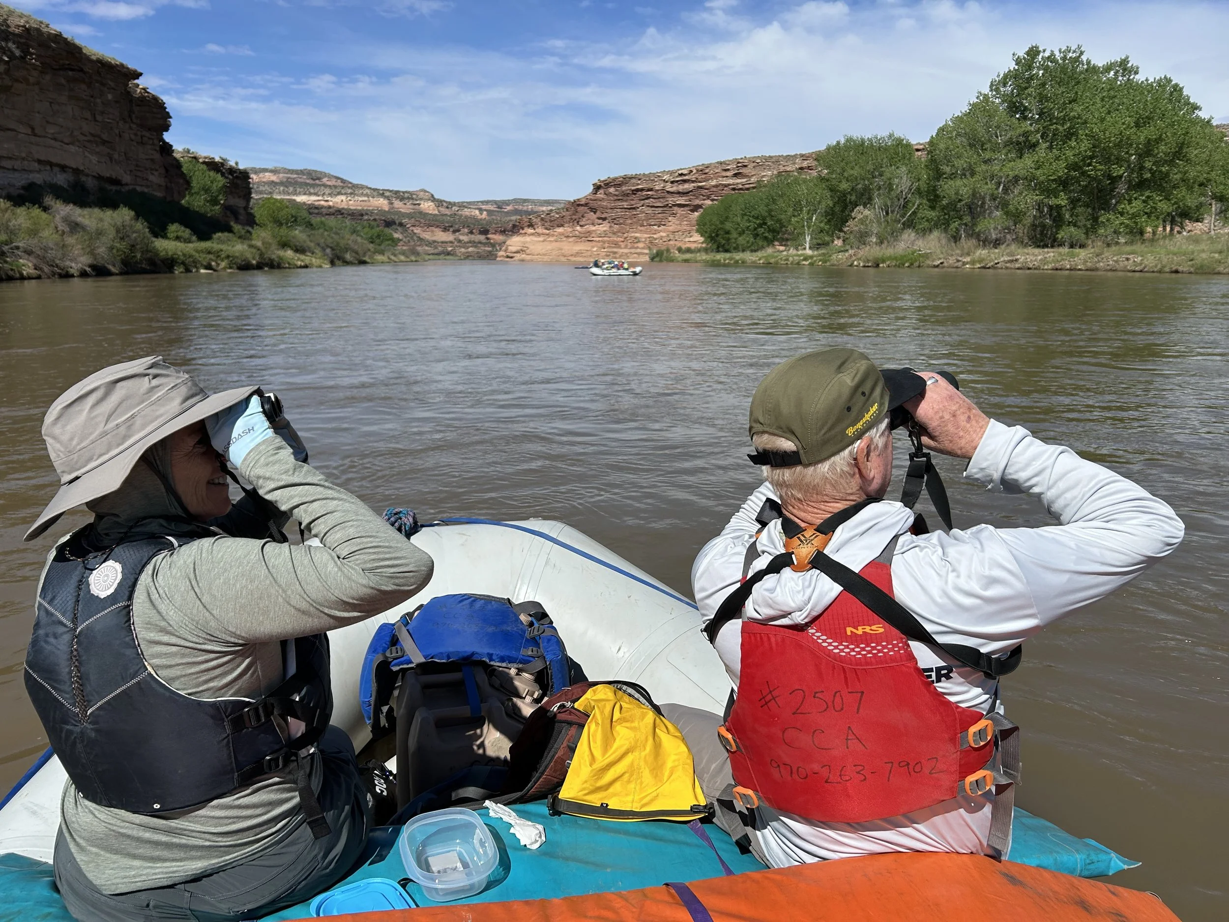 Birding on the Colorado River