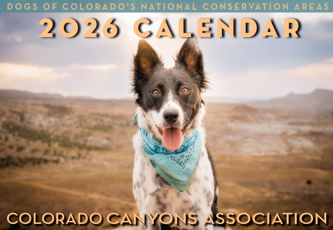 It's Photo Submission Time: Dogs of the NCAs 2027 Calendar