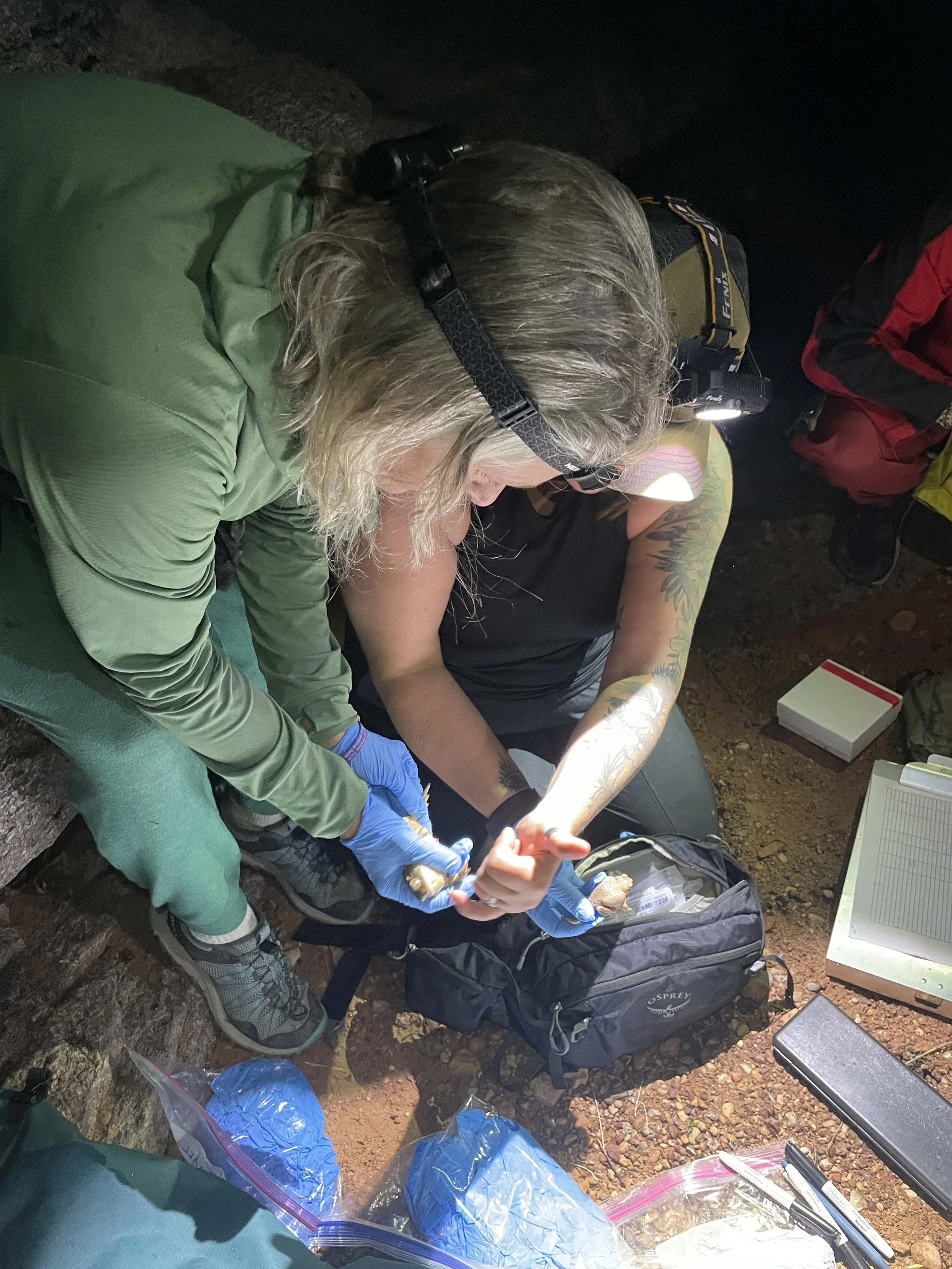 Bullfrog Volunteer Training 
