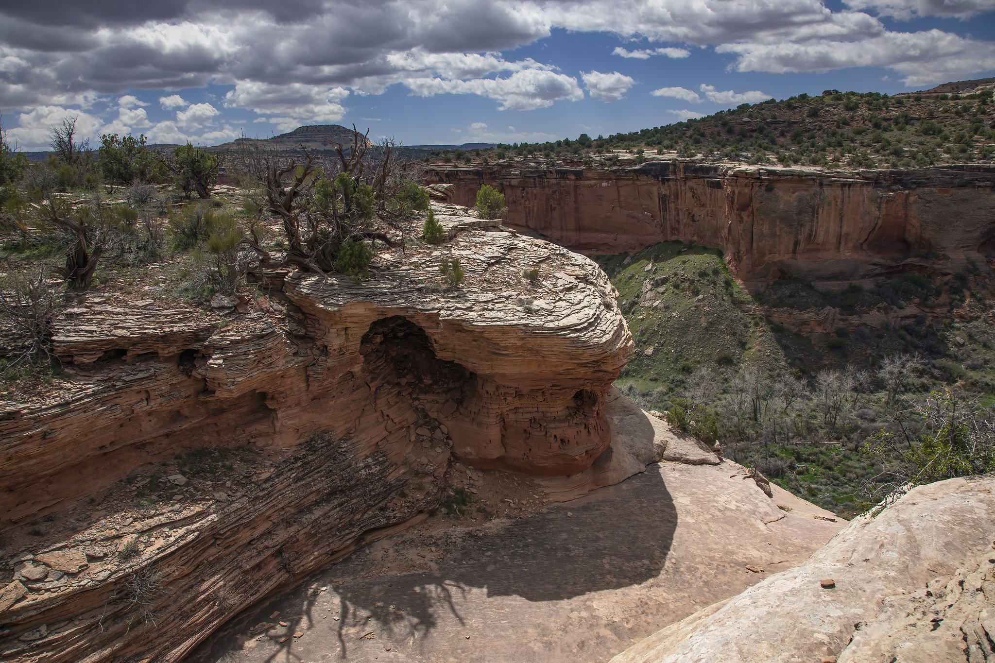 Lecture Series: Packrats Inside our Canyon Walls — Ruby Horsethief ...