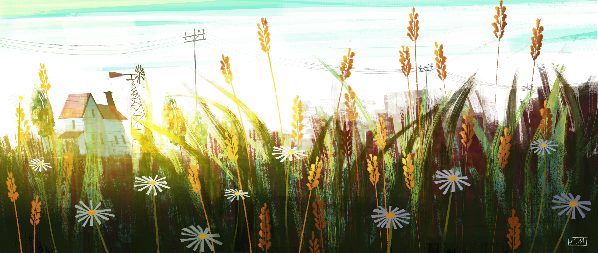 field.png