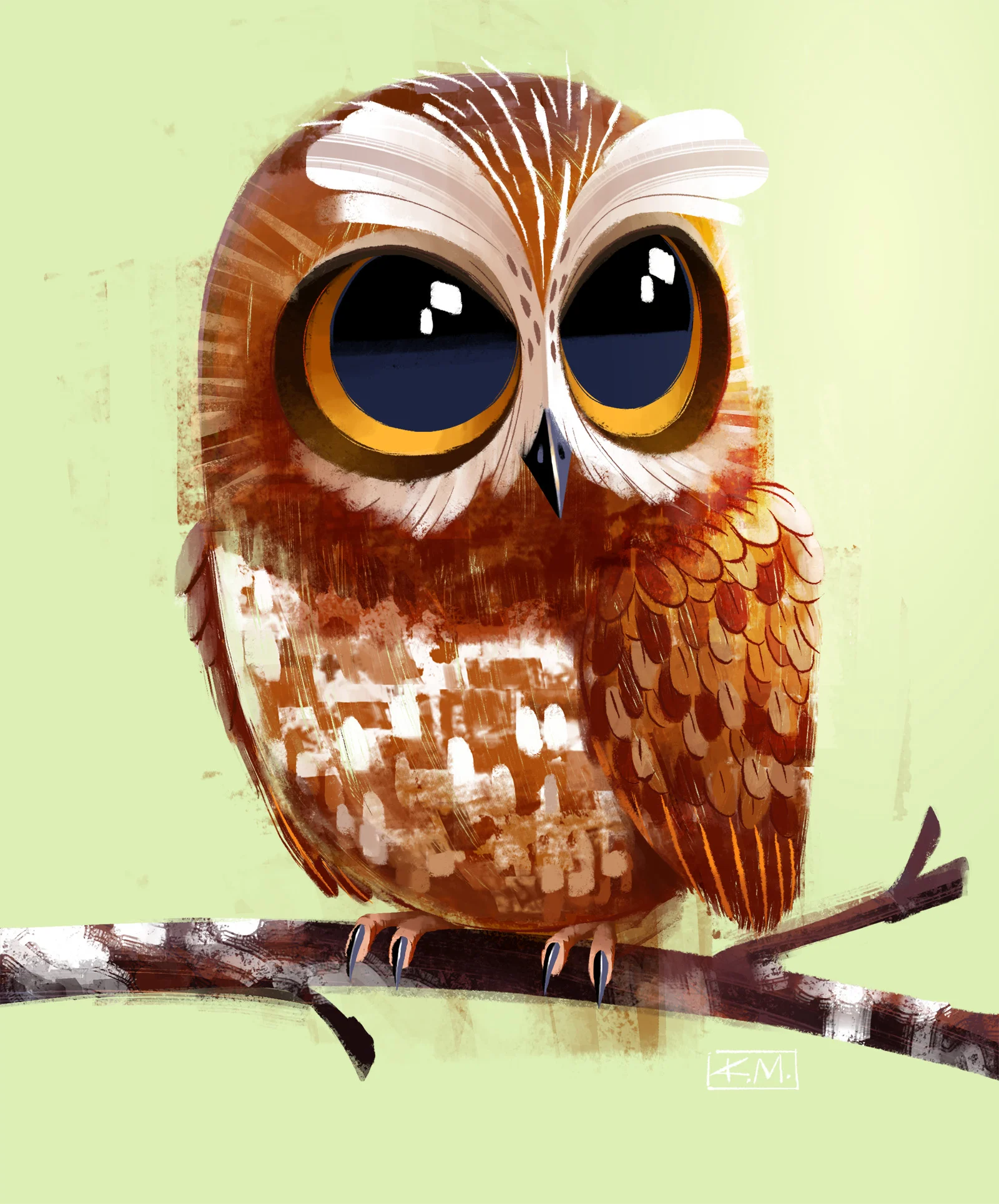owl.jpg