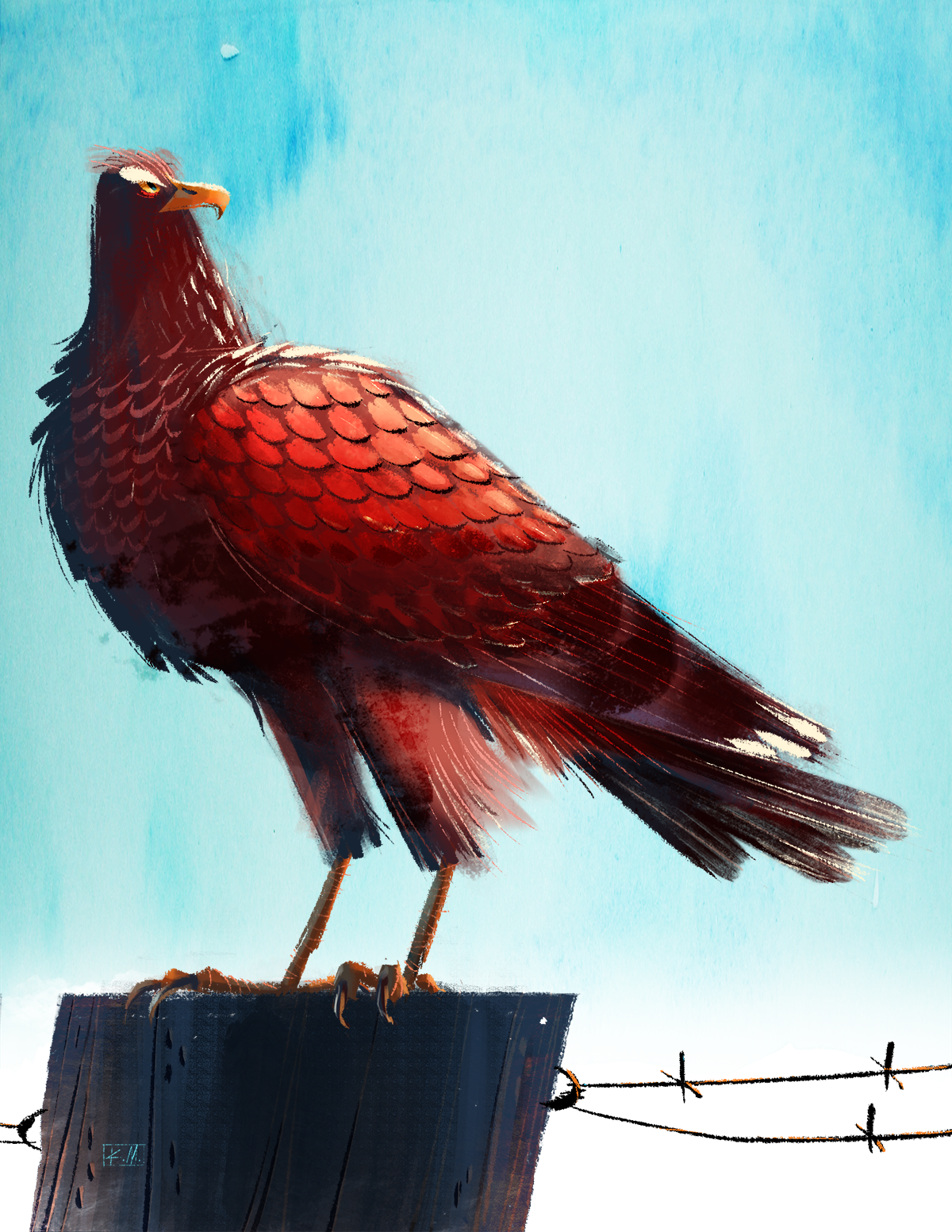 falcon.png