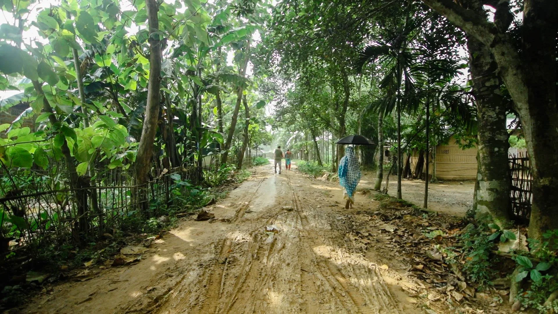 173.jpg