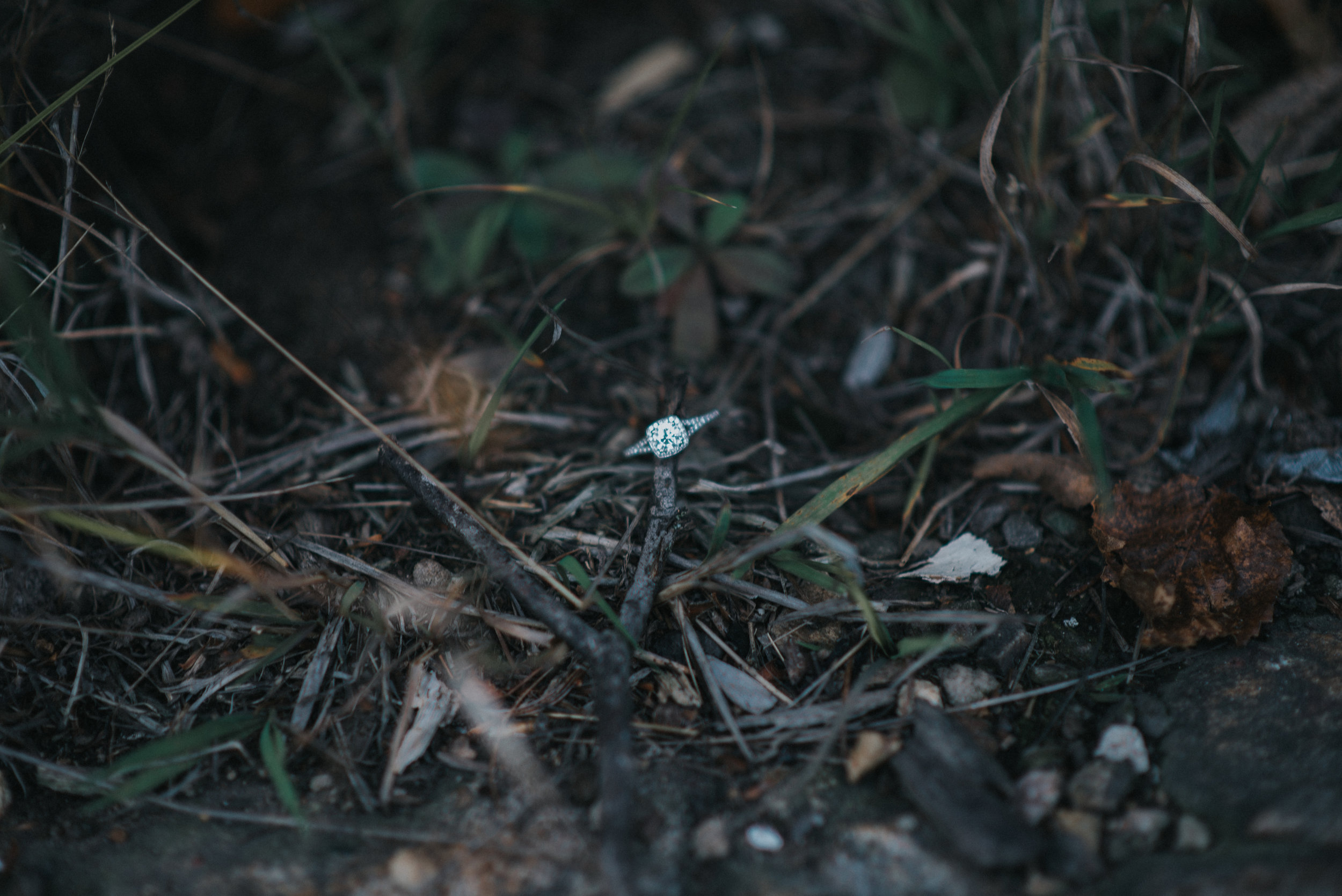 Ring found! Only took about 5 minutes of panicking hehe.