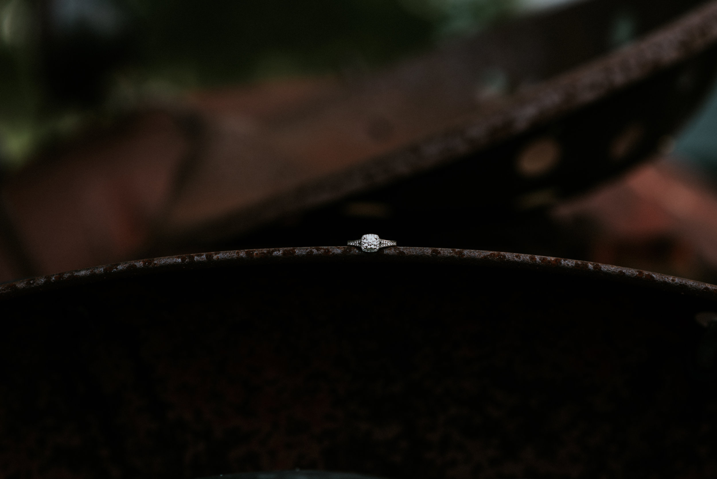 DSC_2906.jpg