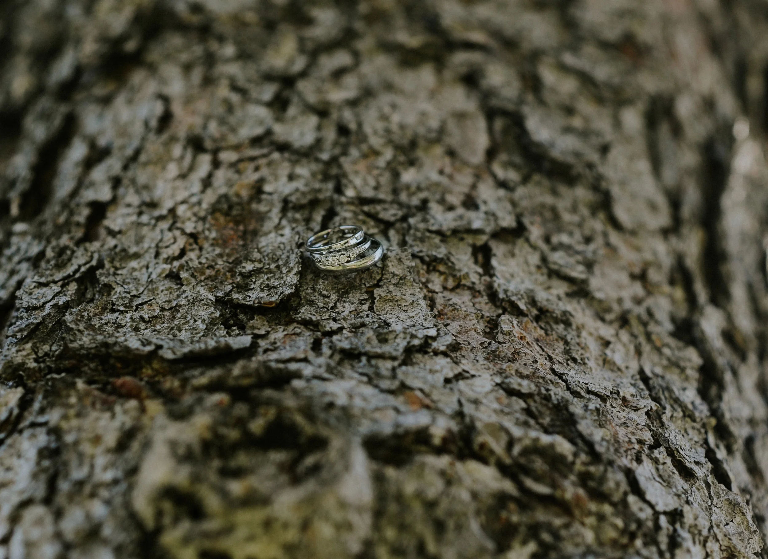 20180602-_DSC6555.jpg
