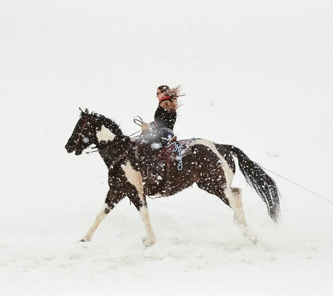 Skijoring in a whiteout #35mm