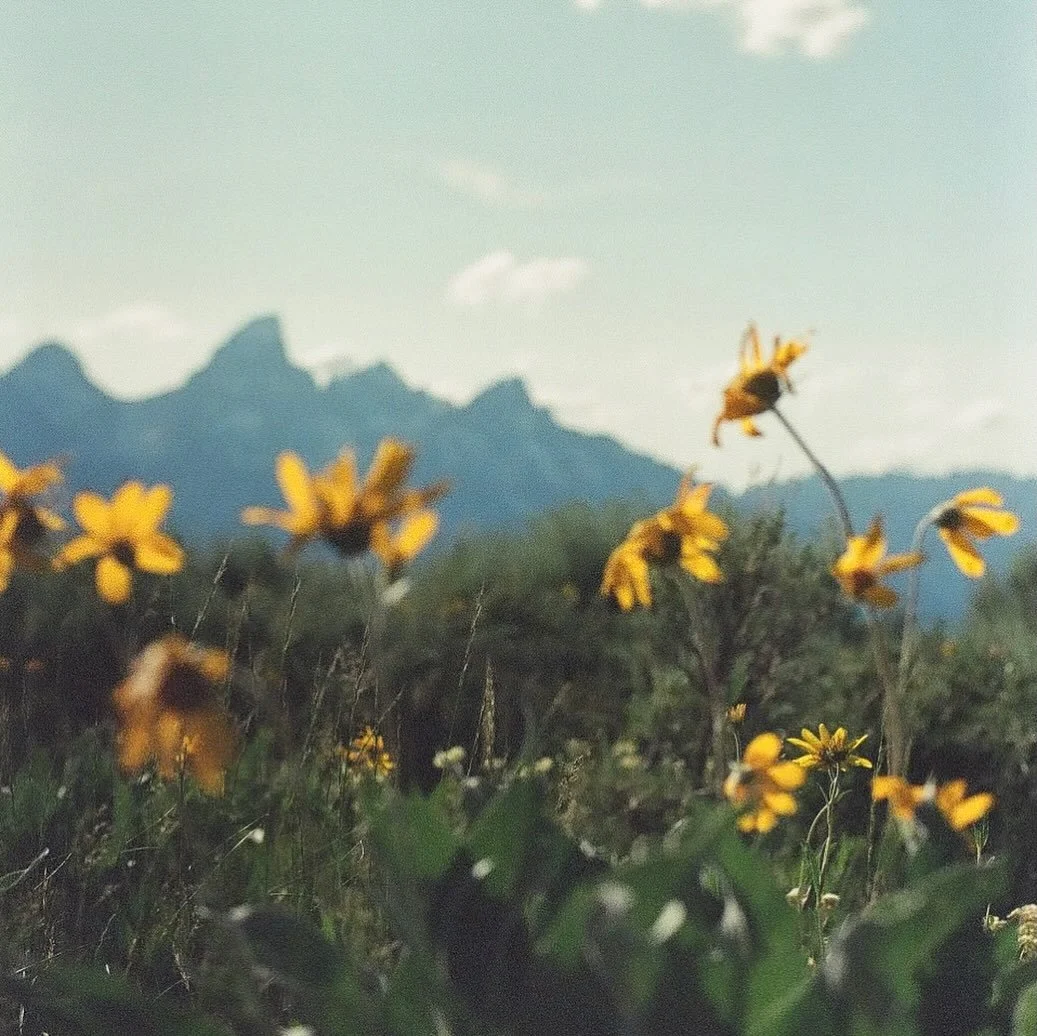 Summer snapshots on film

#35mm