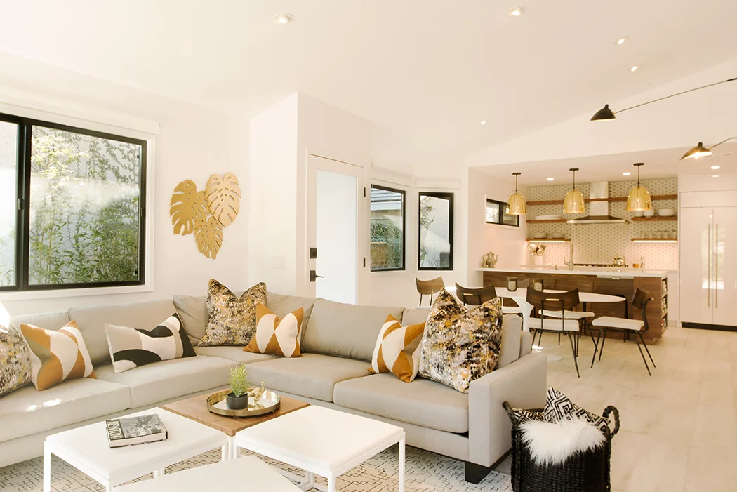 Modern Kitchen and Living Room