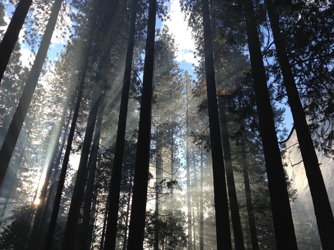 photo-1436407886995-41f8f5ee43ad.jpeg
