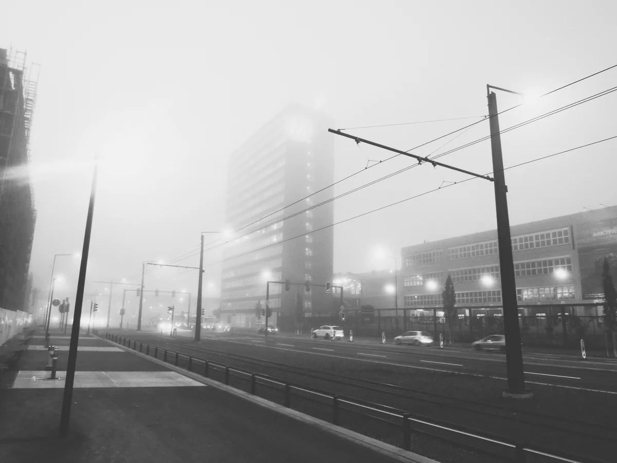 DSCN8038.jpg