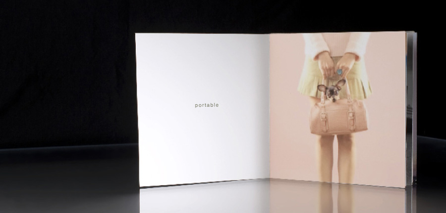 Marketing brochure