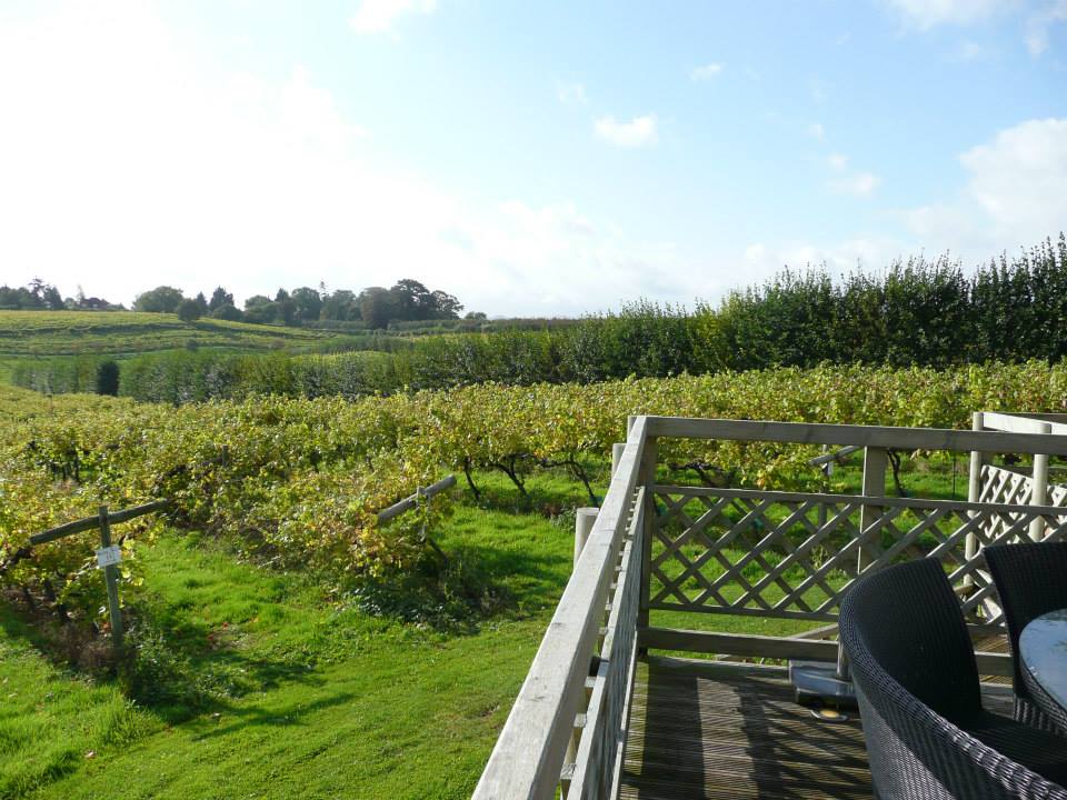 Three Choirs Vineyard