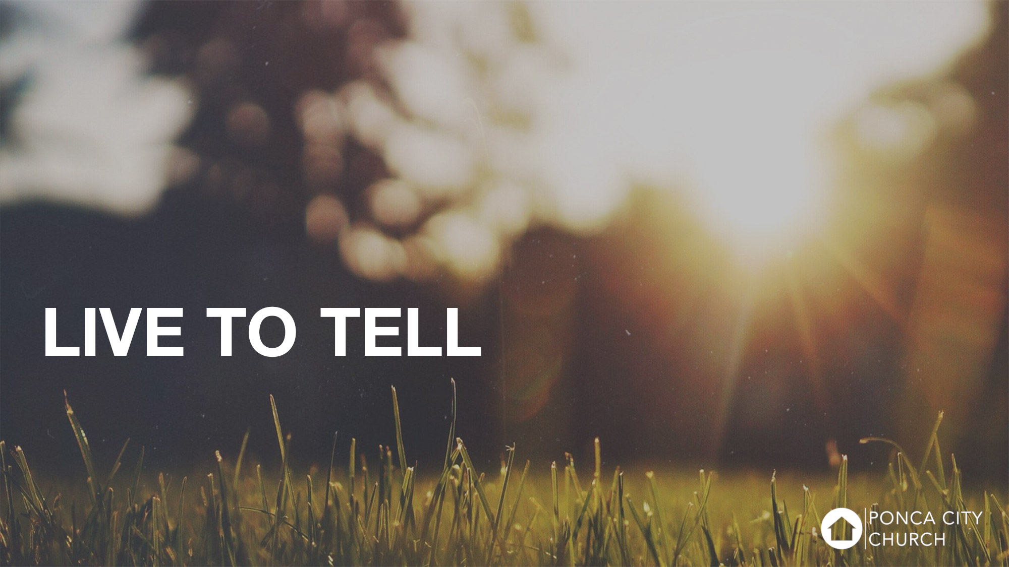 Live To Tell | T.D. Davis | Ponca City Church | 4.7.19