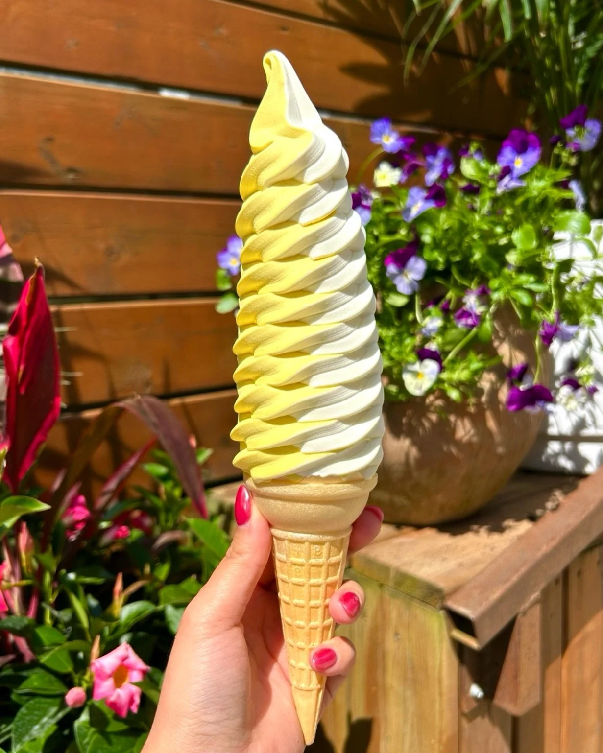 It&rsquo;s the last day for Turmeric Ginger!🫚

A true dairy bar classic! Come try a cone before our flavour changes tomorrow!

Any guesses?🤔

OPEN TIL 10🫚