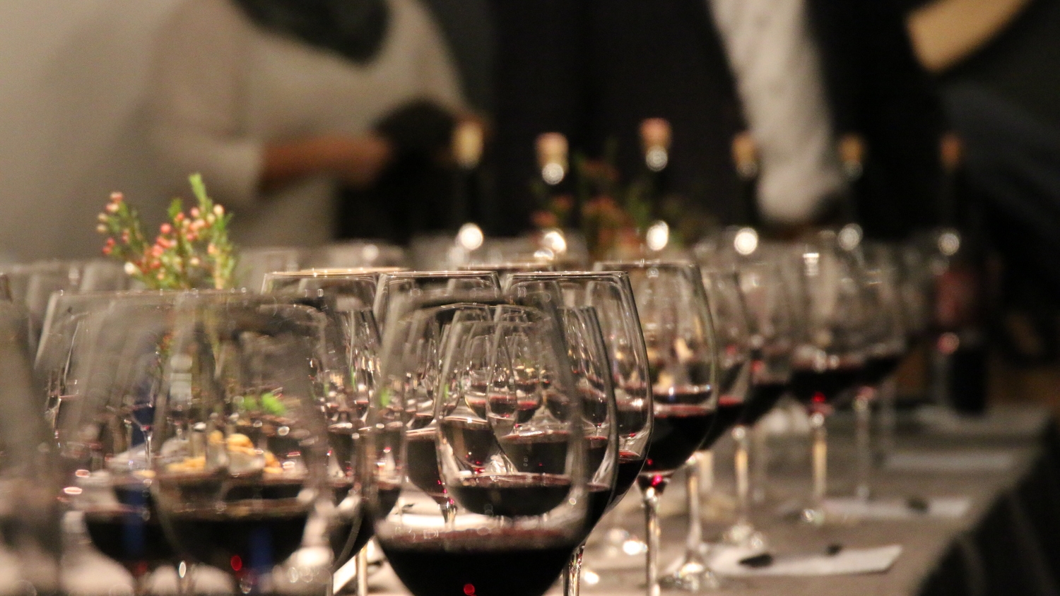 Wine Tasting and Tapas Evening