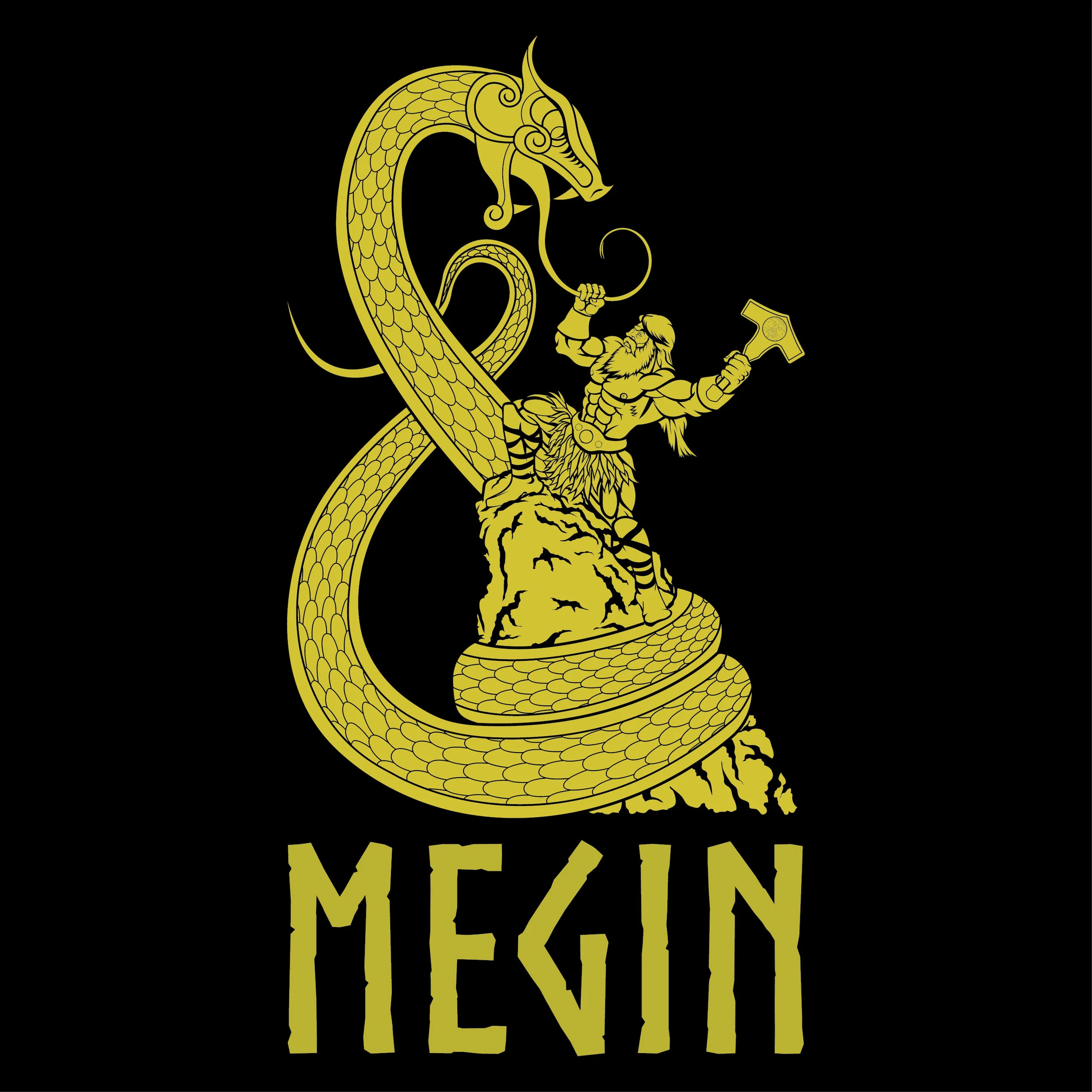 MEGIN-SOLID-WEB-01.jpg