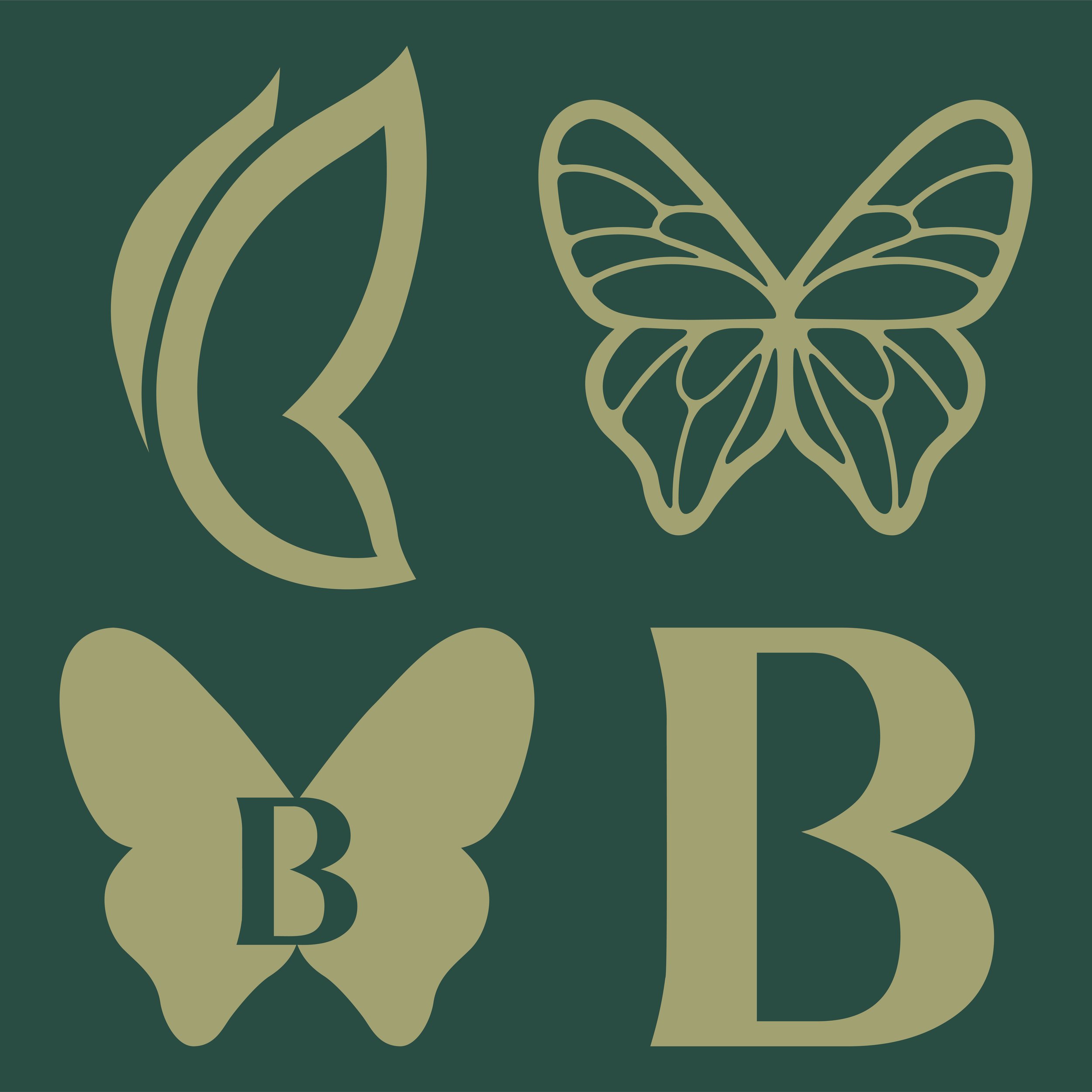 ODS-BareSkineBeauty-Logo-GoldFlat-GreenBG_20.jpg