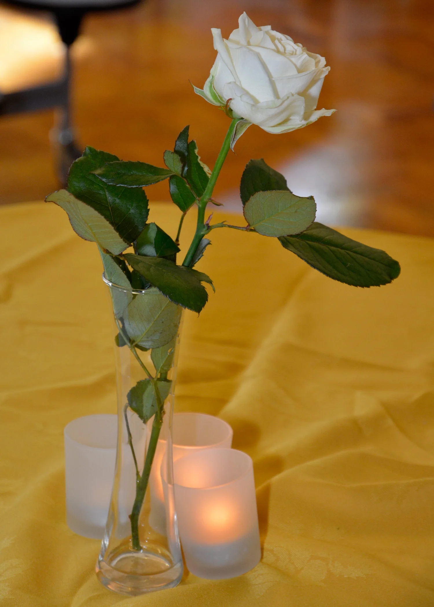 Photo: A White Rose at our 50th Anniversary Garden Party, October 2014