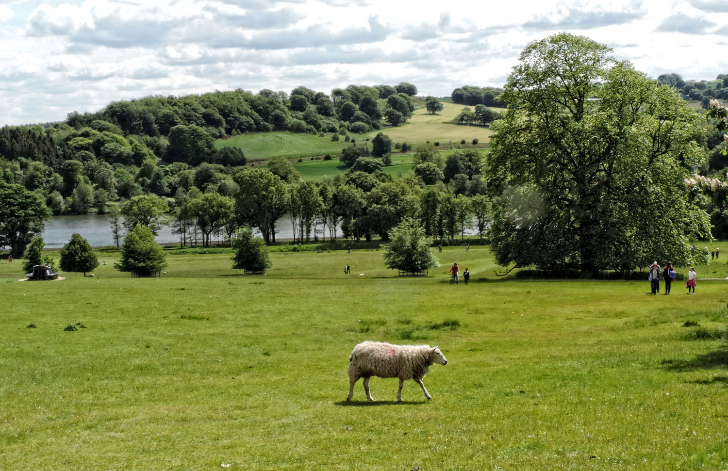 Photo: The grounds of the park are very beautiful 🐑