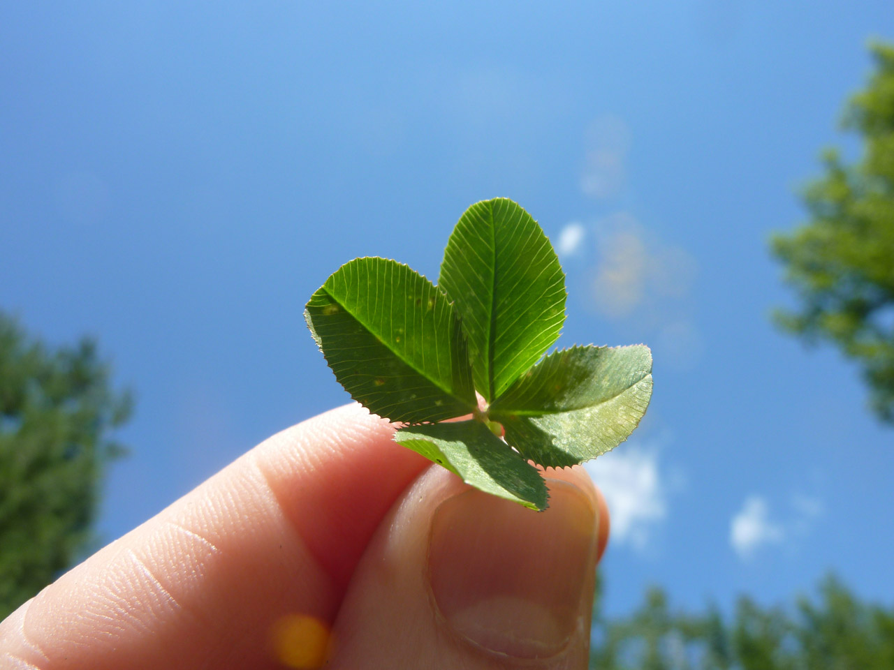 Photo: Good luck to all students sitting examinations 🍀