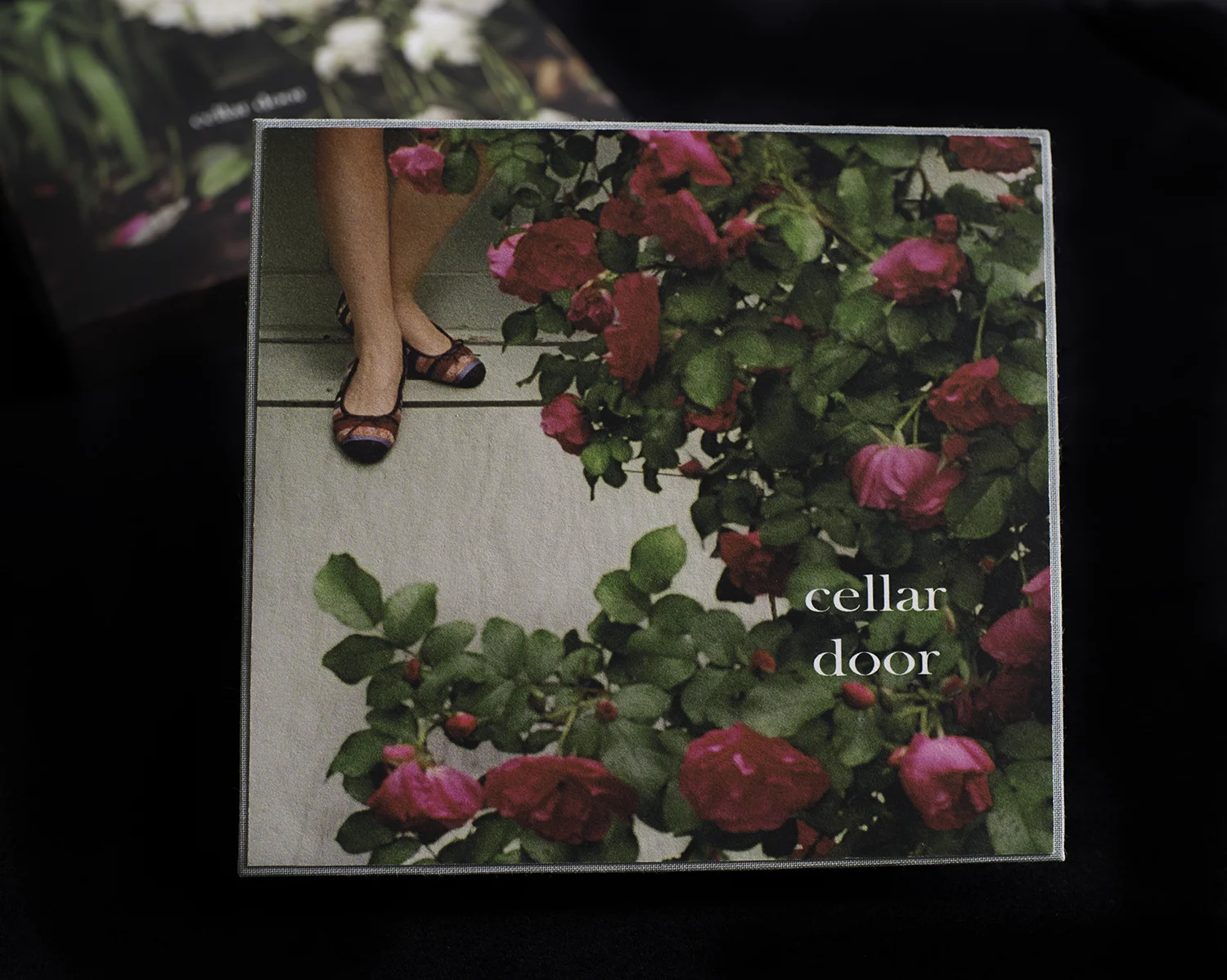 Cellar Door Book 01.jpg