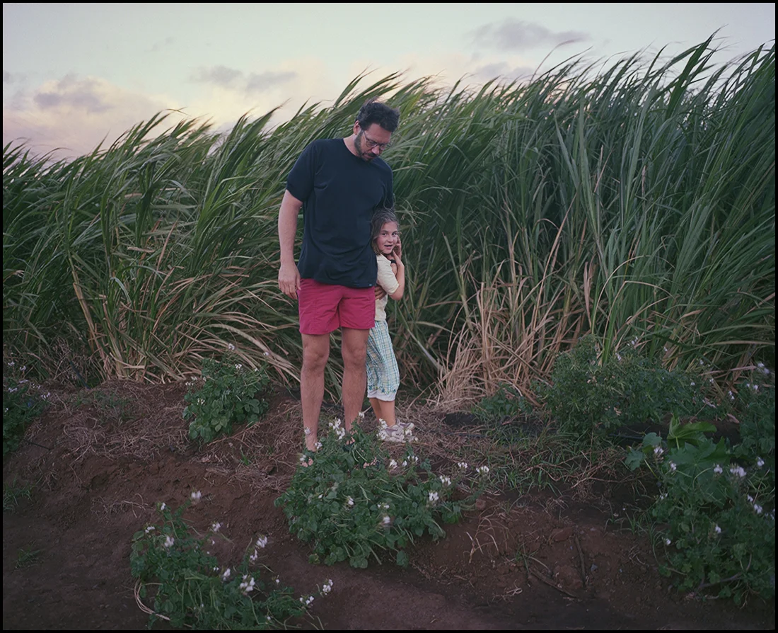 Pinney_Sugarcane 3.jpg