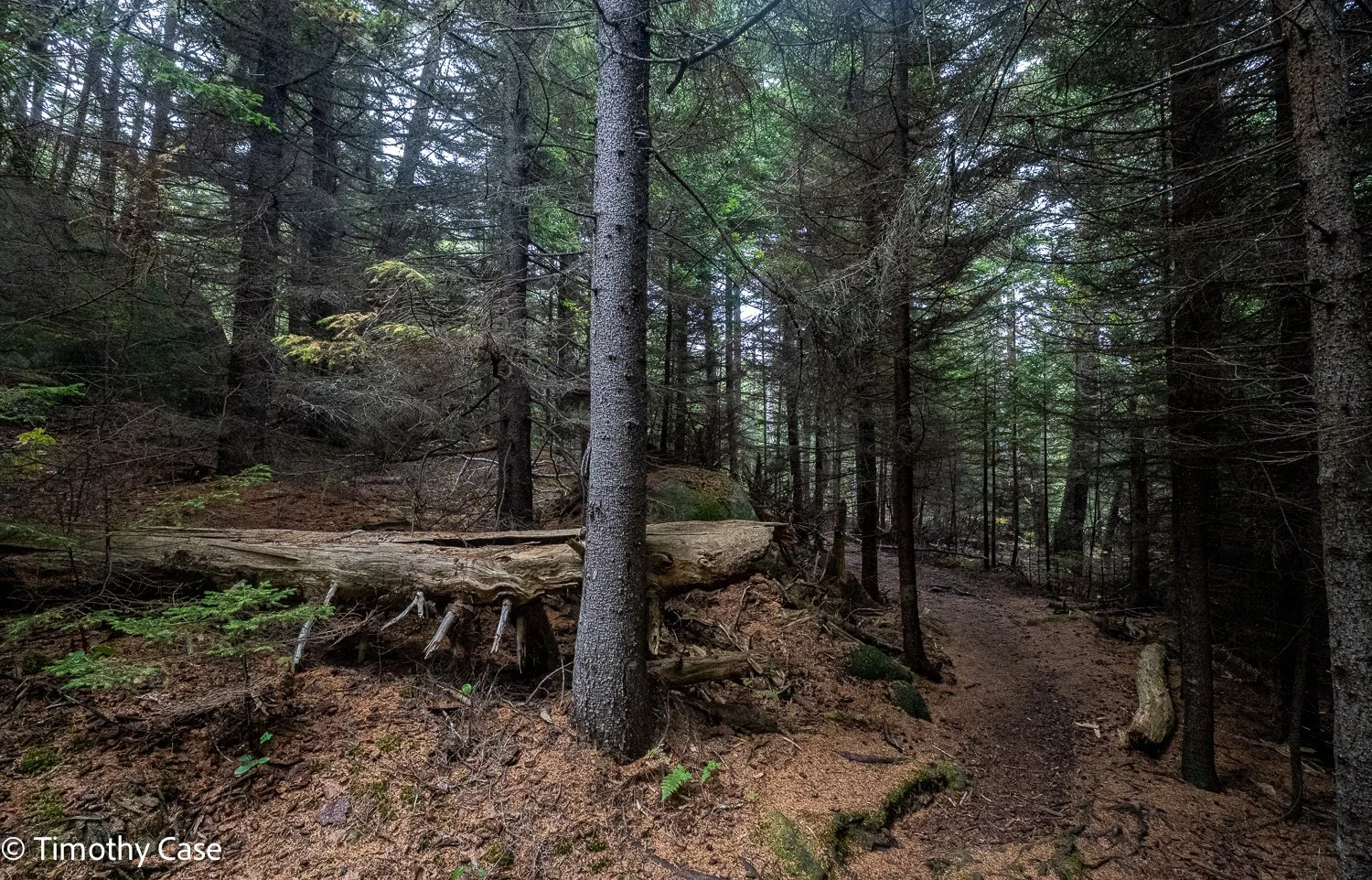 Monhegan Island, Maine September 23. 2025