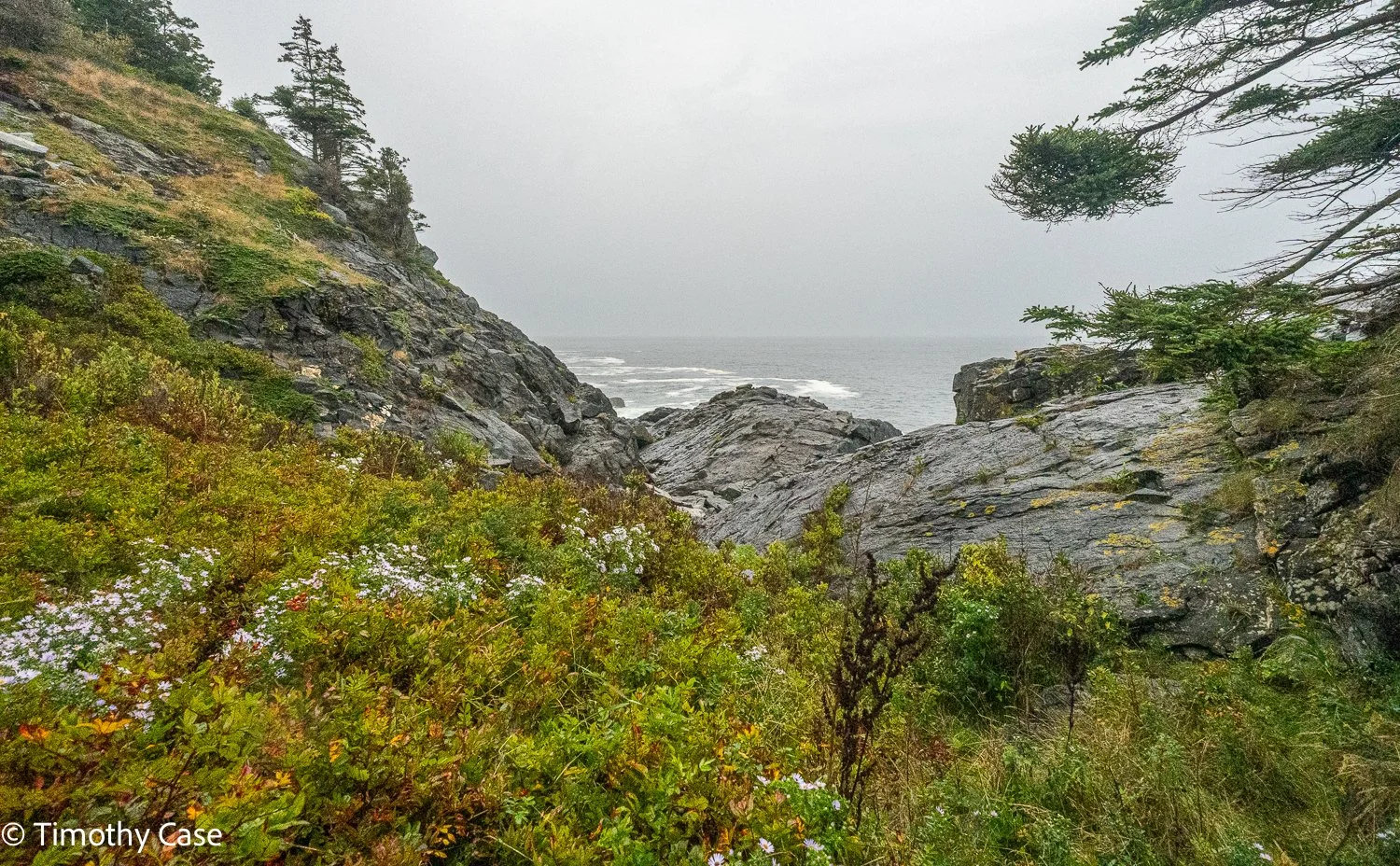 Monhegan Island, Maine September 23. 2025