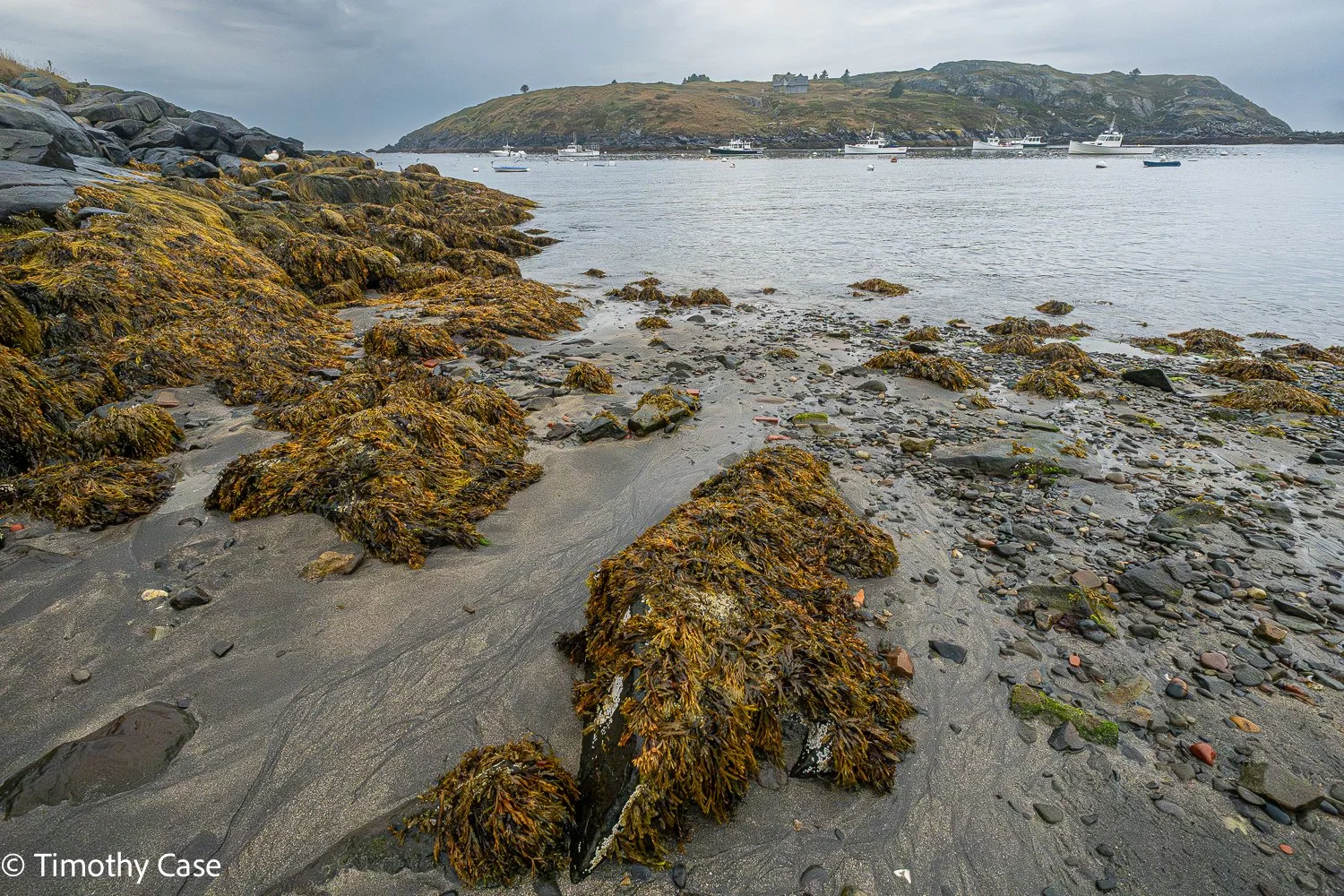 Monhegan Island, Maine September 23. 2025