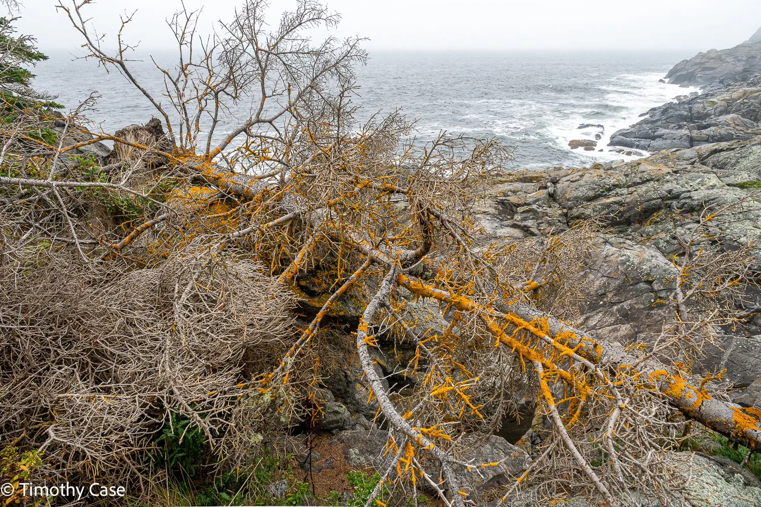 Monhegan Island, Maine September 24. 2025