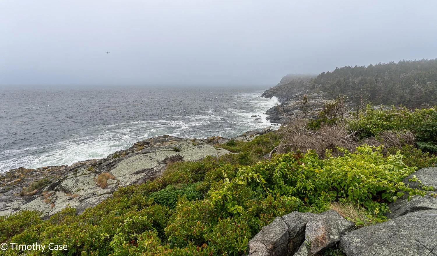 Monhegan Island, Maine September 24. 2025