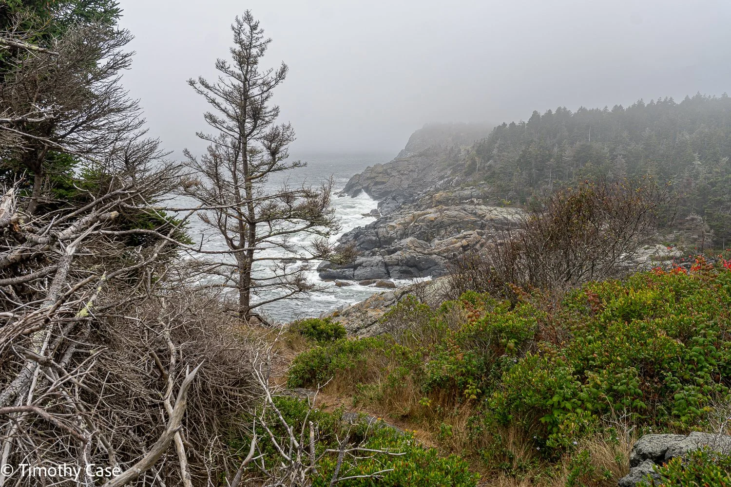 Monhegan Island, Maine September 24. 2025