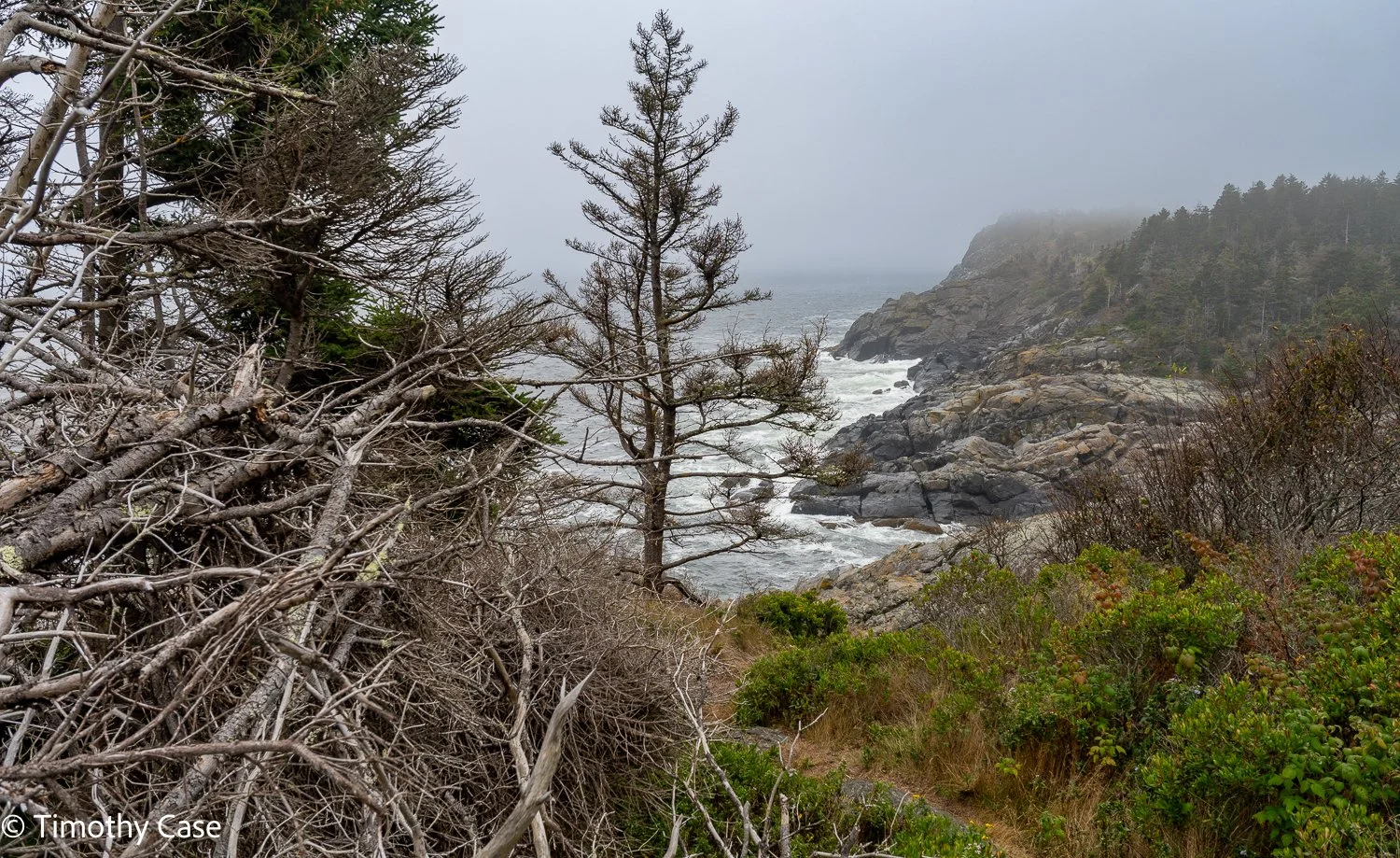 Monhegan Island, Maine September 24. 2025