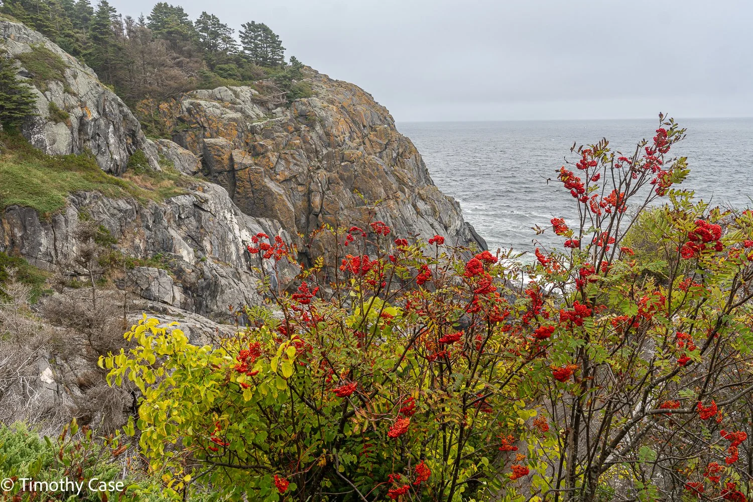 Monhegan Island, Maine September 24. 2025