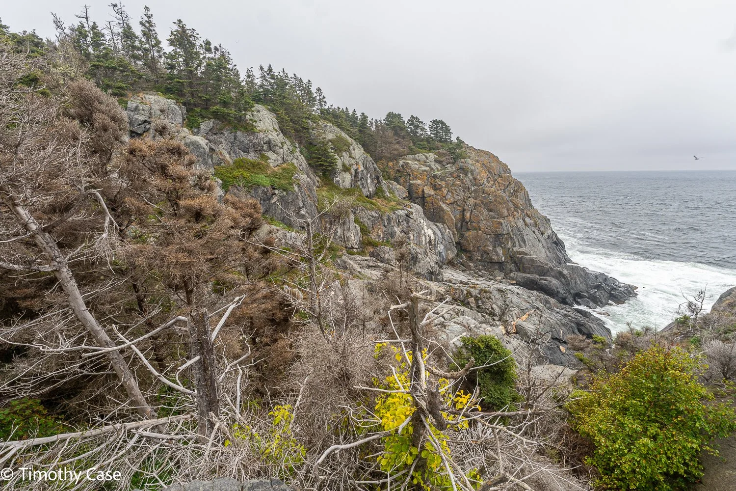 Monhegan Island, Maine September 24. 2025